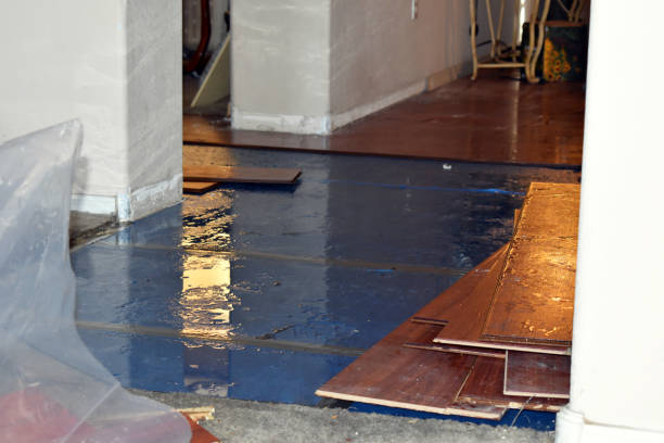 Professional Flood Damage Repair technician working in Elkhart, TX